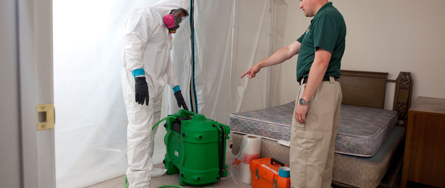 Rexburg, ID mold removal process